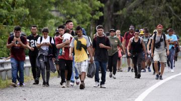 Iglesia denunció crisis humanitaria en frontera sur de México que ha provocado estampidas humanas