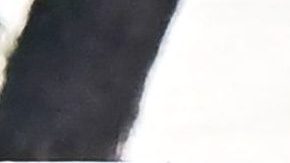 VIDEO: Policía salva la vida de milagro tras pasarle auto y poste por encima durante aparatoso choque