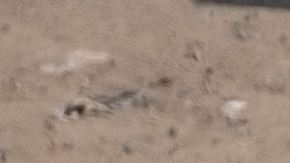 Cientos de inmigrantes están acampados entre los muros paralelos al oeste de la garita de San Ysidro, que limita con Tijuana