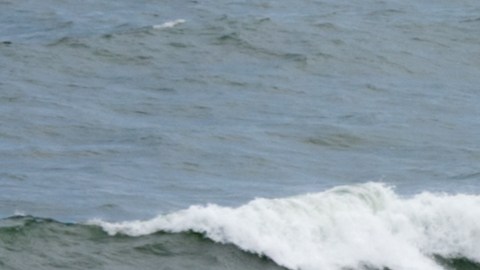Una persona murió y más de una docena fueron rescatados por las corrientes de resaca en Nueva Jersey