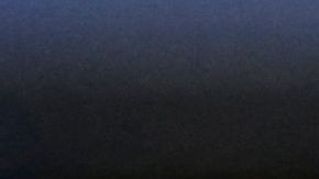 León en un partido del FC Barcelona.