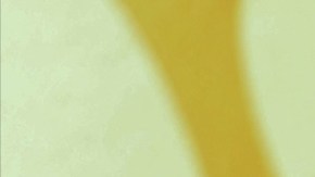 Kim Kardashian regresa a la actuación