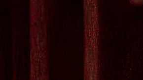 Texas crea crisis migratorias enviando a cientos de inmigrantes a ciudades con gobiernos demócratas.