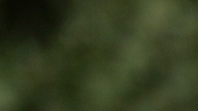 Hijo de 3 años de un bombero en Delaware muere atropellado en un paseo conmemorativo