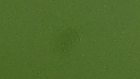 Julio Urías con bandera de México.