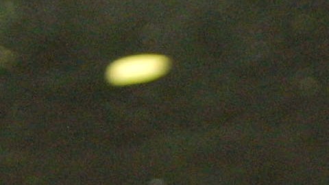 Víctima mortal de ataque de caimán en Florida fue identificada como una mujer de 41 años