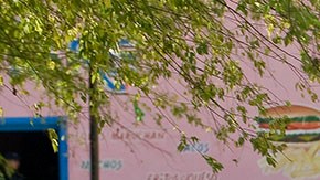 Violencia en Tamaulipas