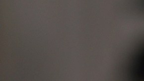 "Poor Things" de Yorgos Lanthimos aspira al León de Oro