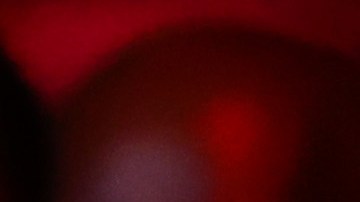 Valentina Shevchenko