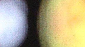 El América es el equipo que más jugadores cedió para fechas FIFA.