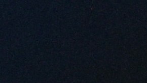 Se espera que las elecciones de 2024 sean un evento clave de posible violencia contra la seguridad nacional.