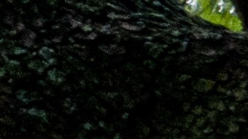 Abuela, madre y dos hijas se matriculan juntas en la universidad de Wisconsin