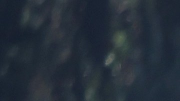 SAN ANSELMO, CALIFORNIA - SEPTEMBER 27: Gas prices over $6.00 a gallon are displayed at a 76 gas station on September 27, 2022 in San Anselmo, California. Gas prices in the San Francisco Bay Area have surged over 40 cents in the past week to an average of $6.05 in San Francisco. The national average for a gallon of regular gasoline is $3.70. (Photo by Justin Sullivan/Getty Images)