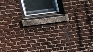 Investigan caso de trabajador ferroviario muere atropellado por un tren teledirigido en Ohio