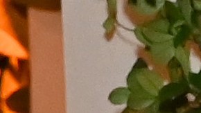 Tristan Thompson y Khloé comparten la custodia del menor