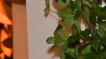 Tristan Thompson y Khloé comparten la custodia del menor