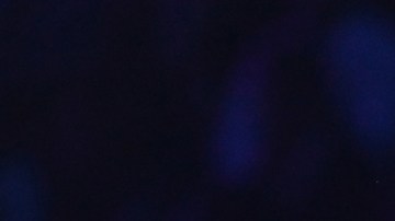 Carlos y Cynthia dedicaron un lindo mensaje en sus redes sociales a su bebé León