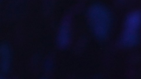 Carlos y Cynthia dedicaron un lindo mensaje en sus redes sociales a su bebé León