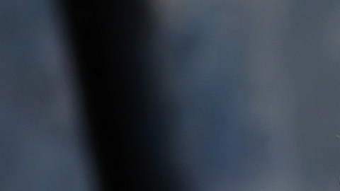 Falleció Buffett, el cantante de “Margaritaville”.