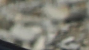 VIDEO: Avioneta se desploma durante revelación de sexo de bebé en México y piloto muere