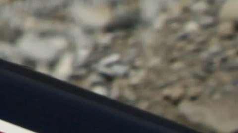 VIDEO: Avioneta se desploma durante revelación de sexo de bebé en México y piloto muere