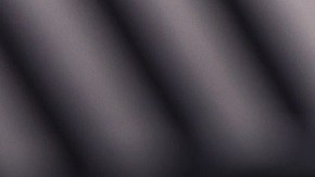 En una convención de armas en Indianapolis, en abril del 2023, se mostró un arma con la imagen de Trump.