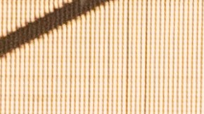 La ciudad de El Paso está recibiendo unos 2,000 inmigrantes a diario.