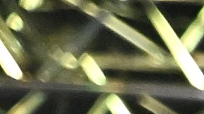 Luis Alberto 'Venado' López