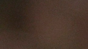 Luis Chávez recién debutó con el Dinamo de Moscú.