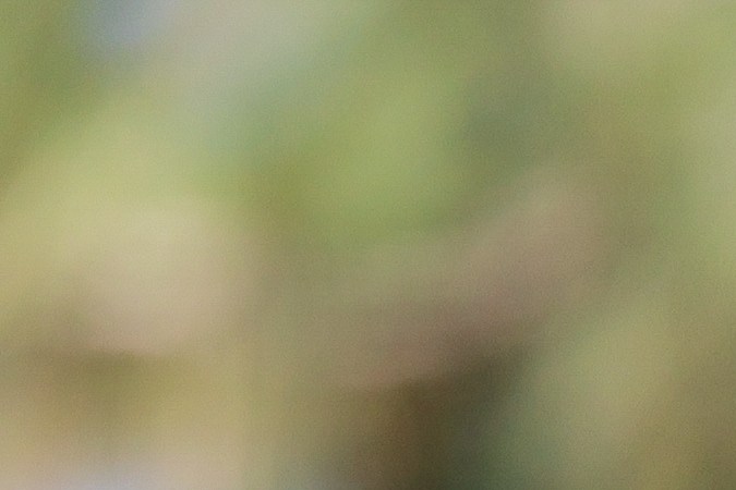 STATELINE, NEVADA - JULY 14: Canelo Alvarez, professional boxer, plays his shot from the 17th tee on Day One of the 2023 American Century Championship at Edgewood Tahoe Golf Course on July 14, 2023 in Stateline, Nevada. (Photo by Isaiah Vazquez/Getty Images)