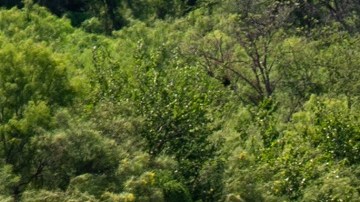 Las boyas con púas fueron colocadas en el Río Grande en julio pasado.