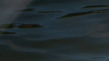 Los "coyotes" arriesgan las vidas de los inmigrantes.