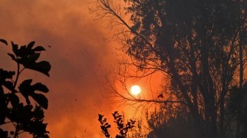 Tierra vive "infierno" y los 3 meses más calurosos jamás registrados