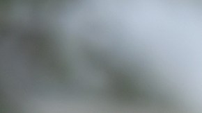 El actor enfrentó nueve demandas en Reino Unido por agresión sexual