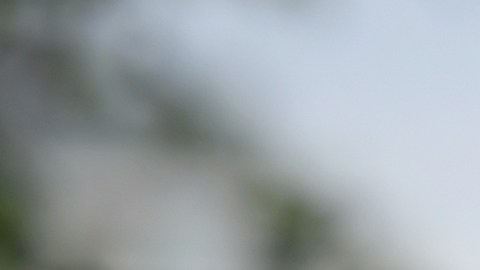 El actor enfrentó nueve demandas en Reino Unido por agresión sexual