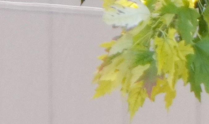 Estados Unidos sufre tiroteo masivo casi cada 12 horas; suman 485 en lo que va de año