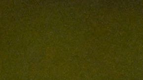 La selección de España en el Mundial de Fútbol femenino.