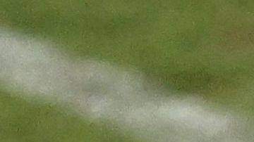 Erling Haaland es el candidato principal a llevarse al The Best.