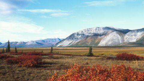 El Refugio Nacional de Vida Silvestre del Ártico en Alaska.