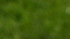 El entrenador habló sobre múltiples cosas y pensó que se quedaría después de ganar la Copa del Mundo femenil