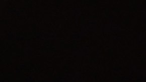 Jorge Vilda besa la Copa del Mundo femenina de la FIFA.