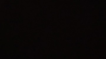 Jorge Vilda besa la Copa del Mundo femenina de la FIFA.