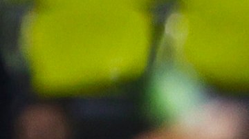 Jordy Caicedo con los colores del Atlas.