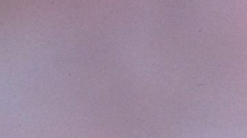 Carlos Hermosillo fue uno de los grandes referentes del fútbol mexicano.