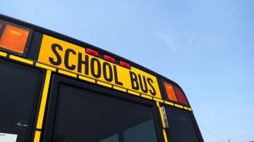 Hay un programa piloto de autobuses escolares eléctricos.