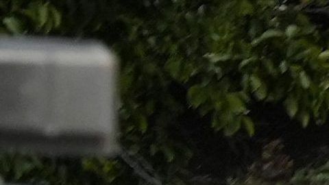 Oficial salva a bebé durante una parada de tráfico y se convierte en héroe en Detroit