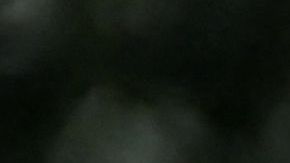 Peter Navarro, un exasesor de Trump, invocó el privilegio ejecutivo para no declarar.