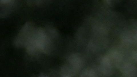 Peter Navarro, un exasesor de Trump, invocó el privilegio ejecutivo para no declarar.
