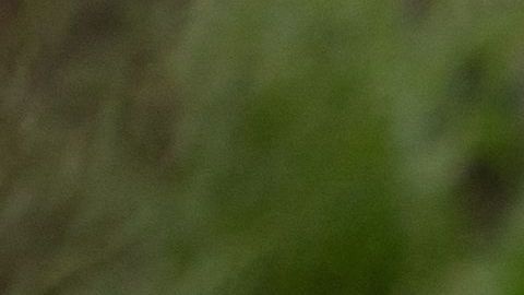 Biden visitó áreas afectadas por el huracán en Florida y aseguró: "Estamos aquí para ayudar".
