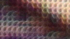 Sacerdotes de Argentina "desagravian" al papa Francisco